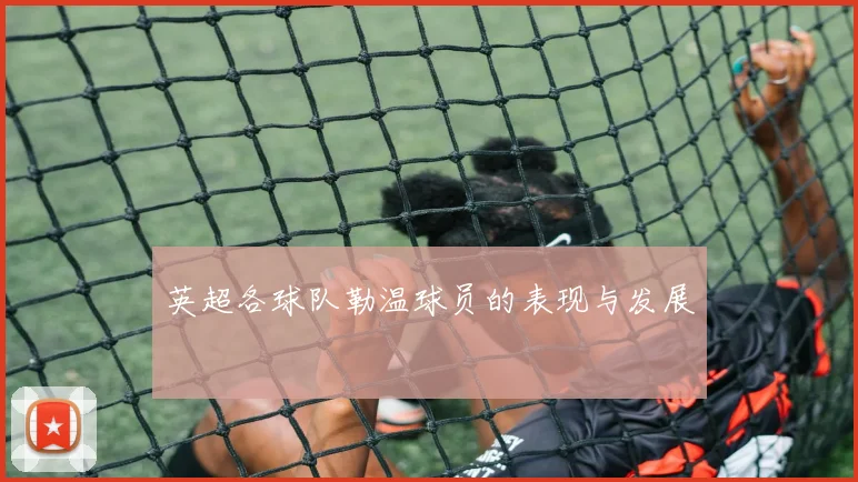 英超各球队勒温球员的表现与发展